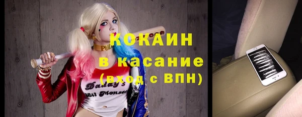 крисы Баксан