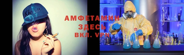 крисы Баксан