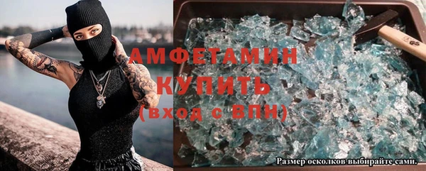 крисы Баксан