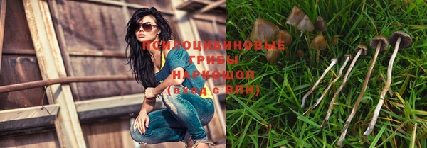 крисы Баксан