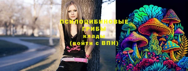 прущие крисы Балахна