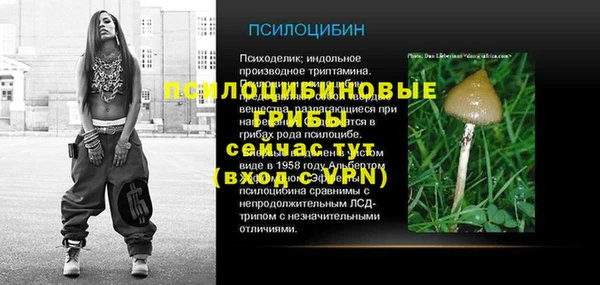 сатива Балабаново
