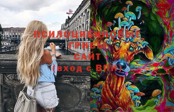 сатива Балабаново